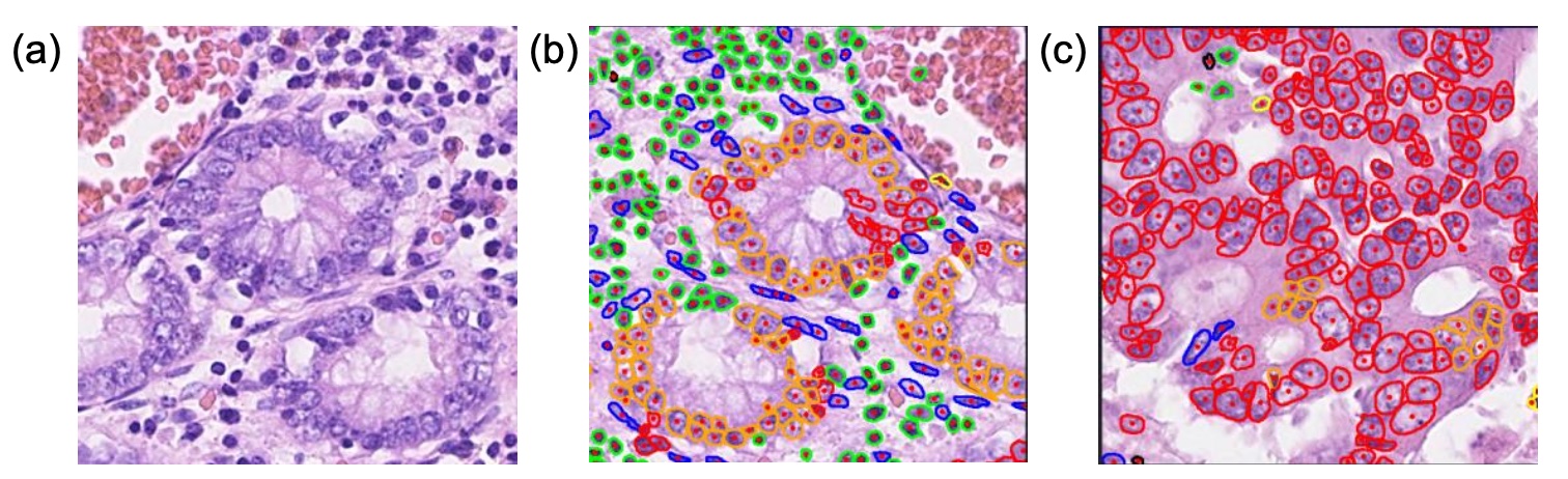 Cell sample